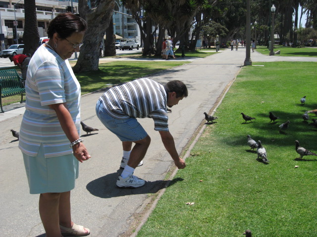 617x456 pixels (151K)